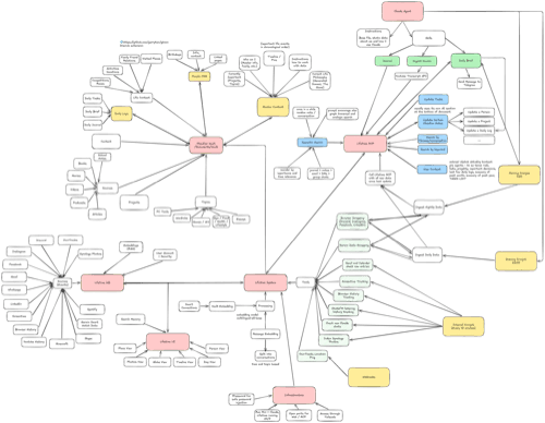Lifetime memory graph